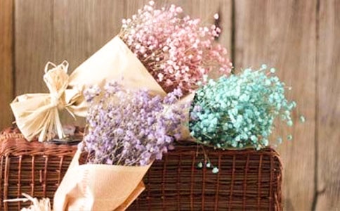 (�ϼ�)����M���ǹ�����8ƪ