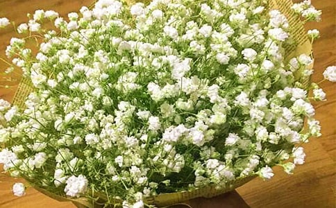 (�؂�)�M��������15ƪ