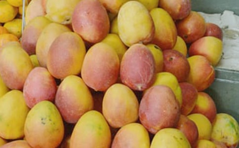 關(guān)于我愛芒果作文匯總五篇