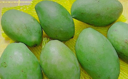 [����]�Ґ�â������2ƪ