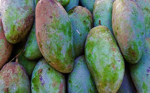 �P(gu��n)���Ґ�â�����ąR����ƪ