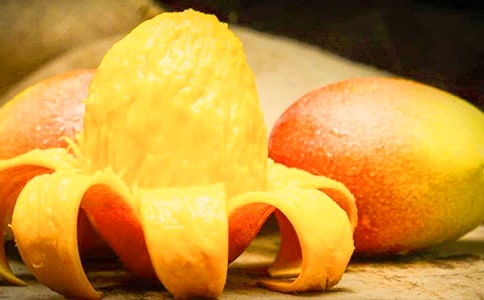 關于我愛芒果作文匯總10篇