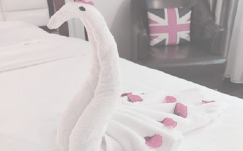 ������x�|(zh��)���_(d��)��(bi��o)��ë��