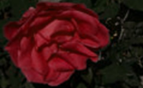 ��ɫõ�����ʲô_����