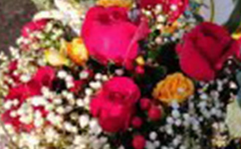 �^��õ�廨����ӛ200��