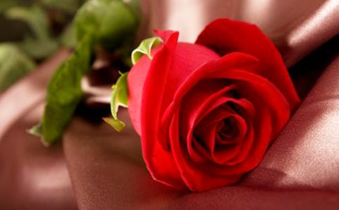 õ������ʲô��Ч