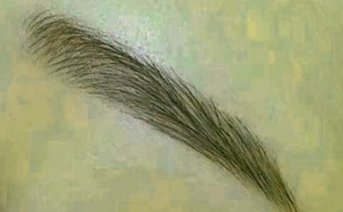 刮眉毛作文錦集(7篇)