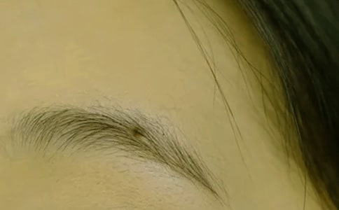 (集合)夢見自己眉毛掉了是什么意思3篇