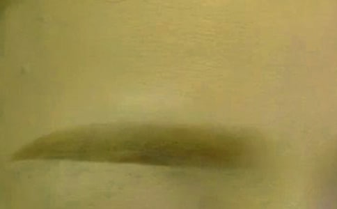 üë���L������ʲôԭ��