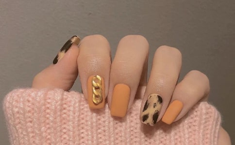 ���׻��(d��ng)����12ƪ