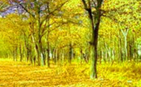 �l(xi��ng)������ -����