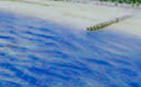 描寫美景的擬人詩句