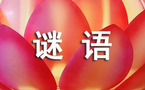 謎語(yǔ)及答案大全