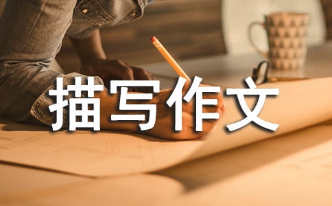 ������ò�茑����200�֣����x45ƪ��