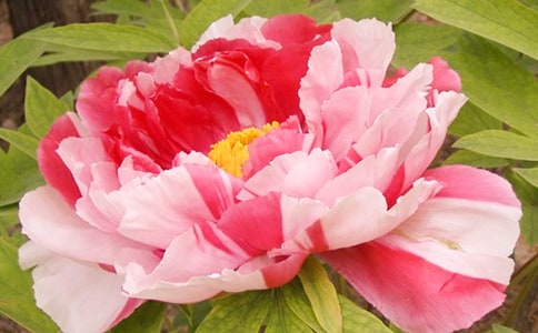 �P(gu��n)��ĵ����������400�֣�ͨ��39ƪ��