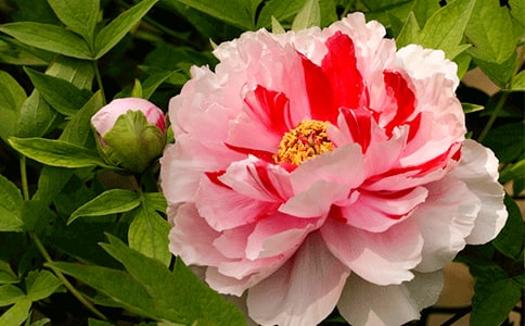 �pĵ�����ġ����T��