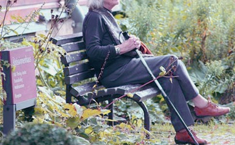 (集合)奶奶的作文3篇