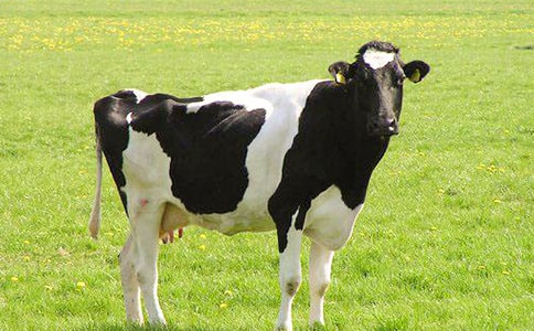 ��ţ�I(m��i)�u(m��i)