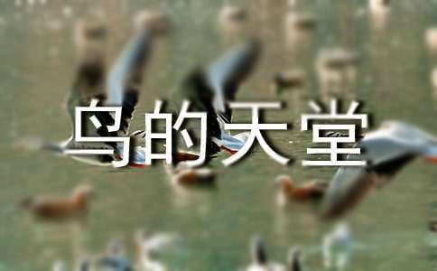 鳥的天堂教案15篇