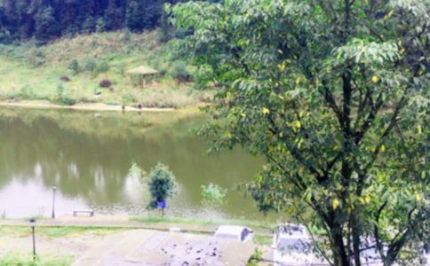 [���]]�r(n��ng)�Ҙ�(l��)����14ƪ