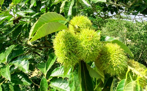 �r(n��ng)�Ҙ�_С�W(xu��)����