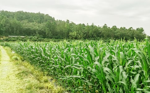 �r(n��ng)�Ҙ�(l��)Ȥ����