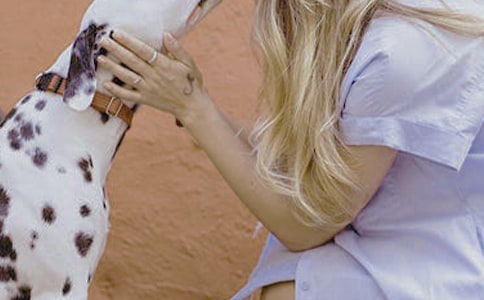 Ů���a(b��)�}��ʲô���Զ��(l��i)���a(b��)�}