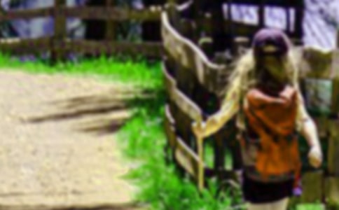 ��ɽ������15ƪ(�ϼ�)