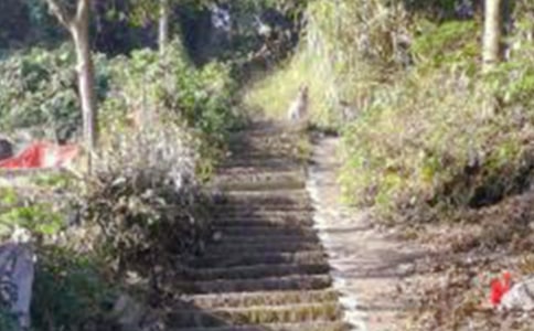 һ����Ȥ����ɽ