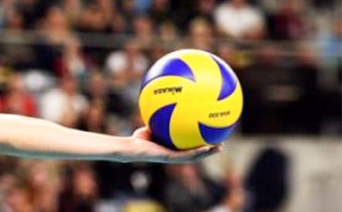 �����A������������15ƪ