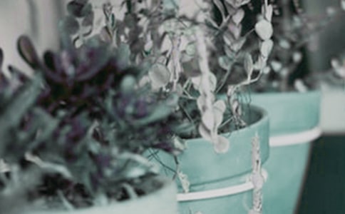 ���ԓu�X���B(y��ng)ֳ����