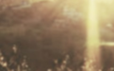 �����ƕԽ��������