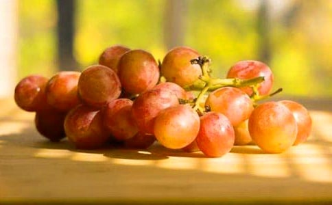 ��؂�����ѵĹ���5ƪ���᡿