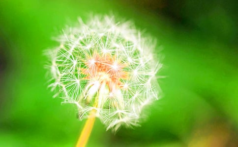 �׽��а����g�̰�-�ѹ�Ӣ