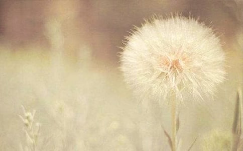 �ѹ�Ӣ�v�Uӛ����4ƪ