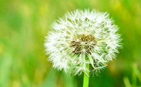 ��������(d��ng)���ġ��A���ѹ�Ӣ�� �������}���(d��ng)����