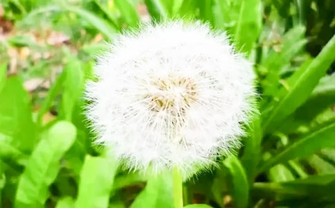 �w����ѹ�ӢЦ������