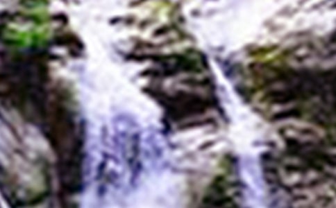 �S�����ٲ��n��[�؂�15ƪ]