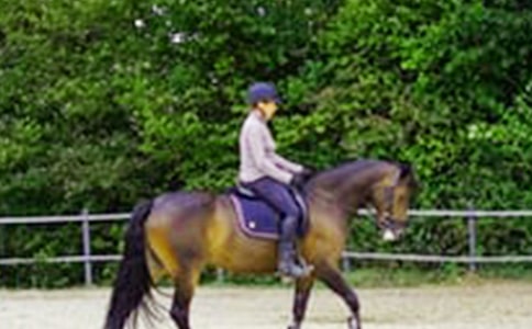 ����Ƭ�Ĺ������ģ��T�R