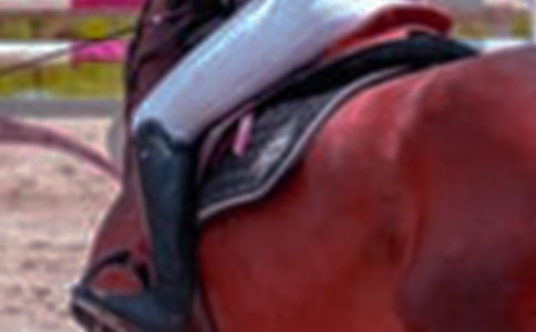 С�W(xu��)���ĵ�һ���T�R