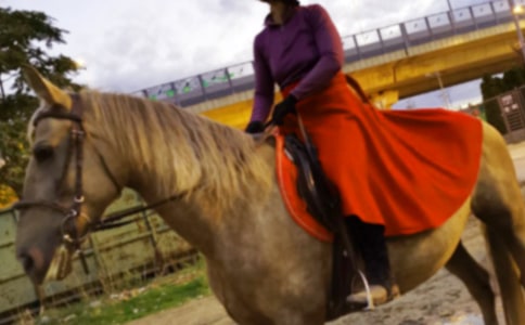 ��(n��i)�ɹ��T�R����