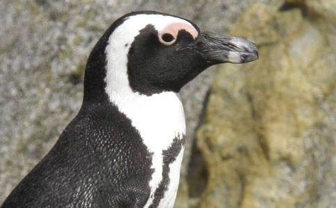 �������������Z�x���