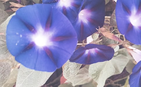 �����͠������n��˼