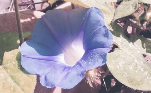 �������^����ӛ