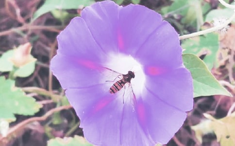 �������^����ӛ�����x18ƪ��