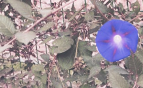 ���������L�^�����ģ����x30ƪ��