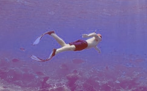 ��ˮ������15ƪ[��(y��u)]