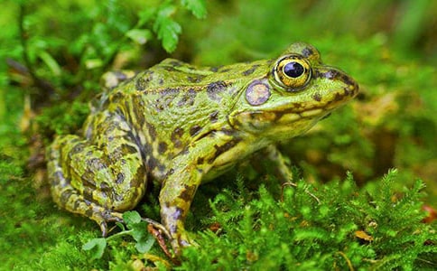 ���o(h��)�������ľ��A[15ƪ]