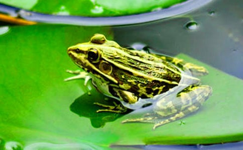 �����ܿ������̌W(xu��)��(sh��)�6ƪ(�])