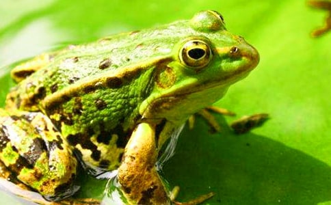 ���o(h��)�������ġ����x14ƪ��